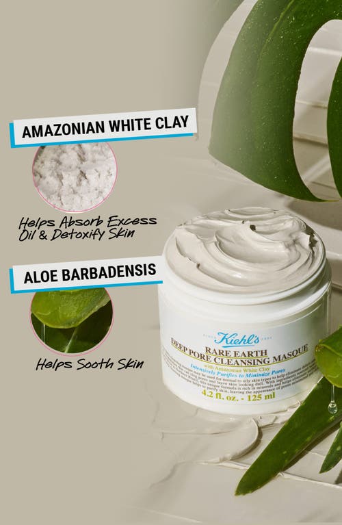 Kiehl's Since 1851 Rare Earth Deep Pore Cleansing Face Mask In Transparent