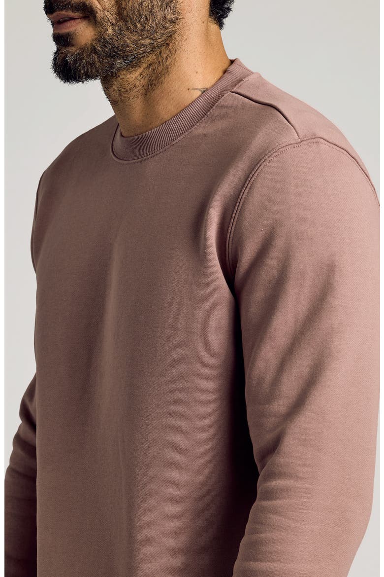 Fleece Crewneck Sweatshirt, Alternate, color, SLATE MAUVE