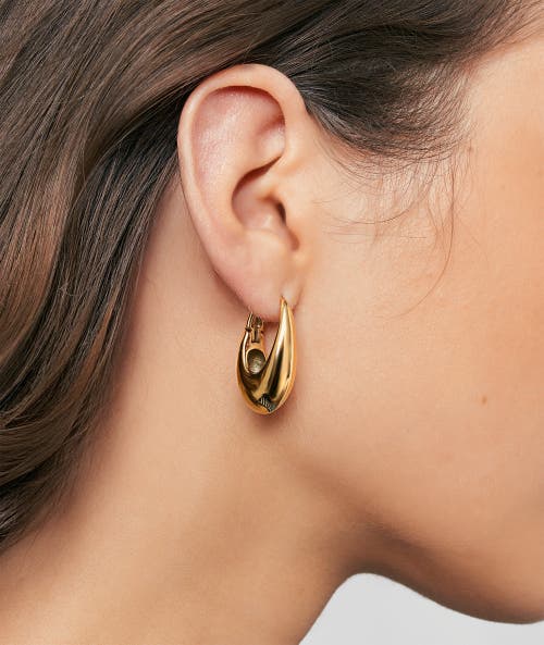 Hey Harper September Oval Earrings In Brown