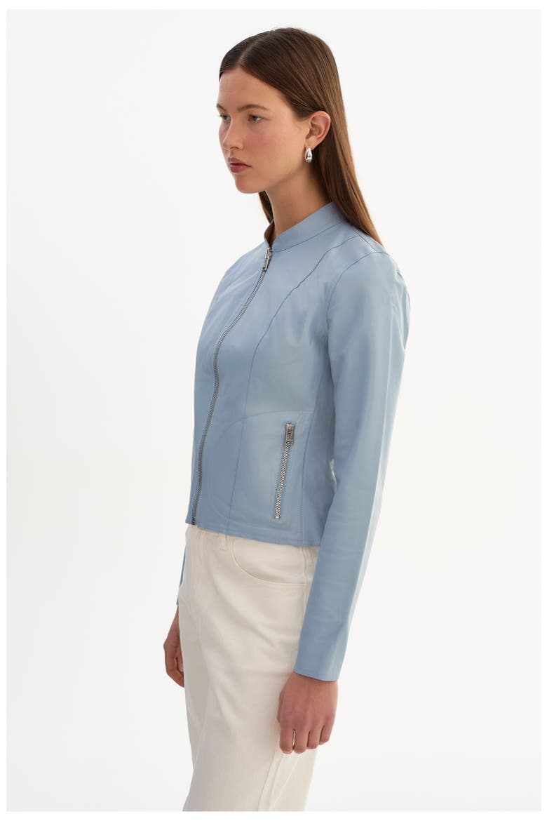 Chapin | Reversible Leather Bomber, Alternate, color, Baby Blue/Silver