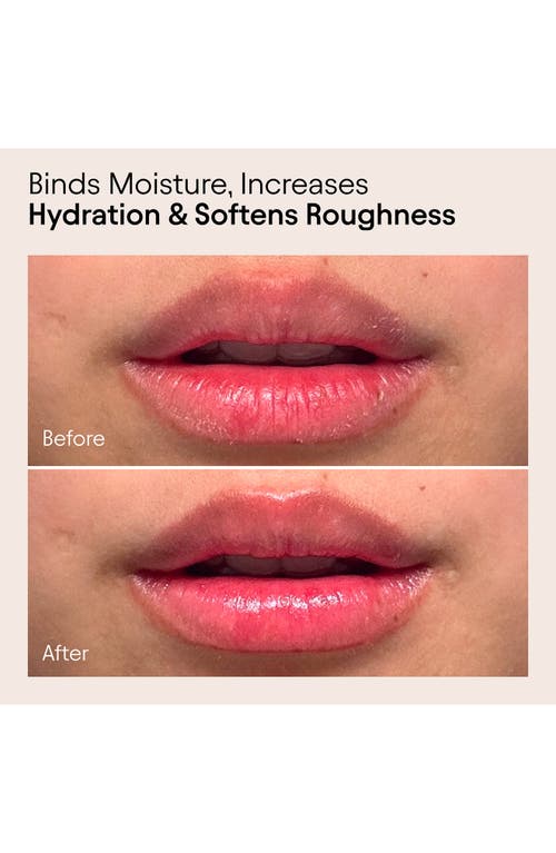 Alpyn Willow & Sweet Agave Plumping Lip Mask 0.5 oz / 15 ml