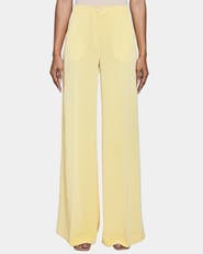 Santorelli LILY Wide Leg Pants with Slanted Side Pockets in Fluid Cady
