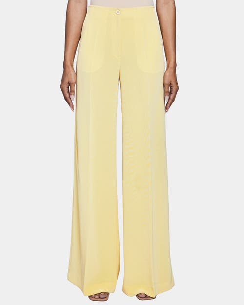 Santorelli Lily Wide Leg Pants With Slanted Side Pockets In Techno Crepe
