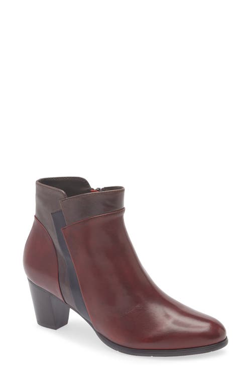 Regarde Le Ciel Sonia Bootie In Brown