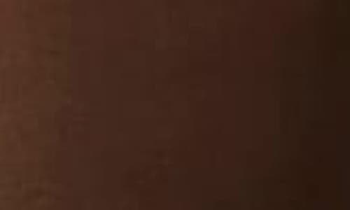 Memoi Perfectly Opaque Control Top Tights In Brown
