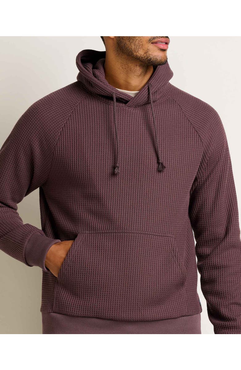 Toad & Co Men's Bitterroot Long Sleeve Hoodie, Alternate, color, Raisin