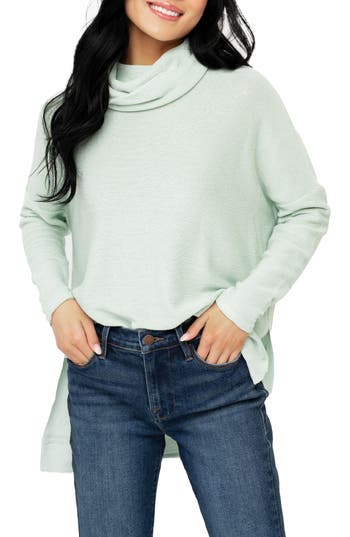Gibsonlook Turtleneck High-low Tunic In Blue
