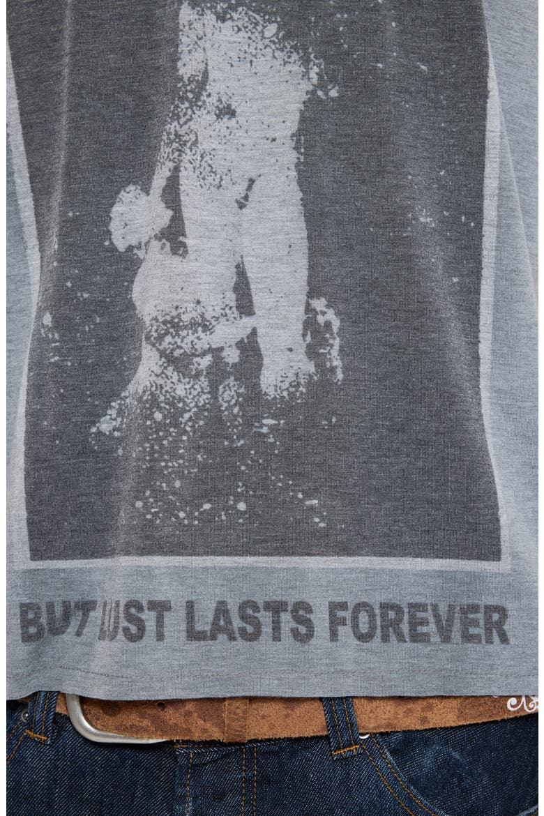 Flesh May Rot Graphic T-Shirt, Alternate, color, GREY