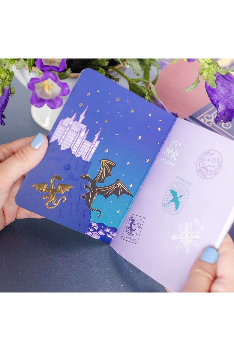 Fantasy Realm Passport Guidebook, Alternate, color, Assorted Pre-Pack