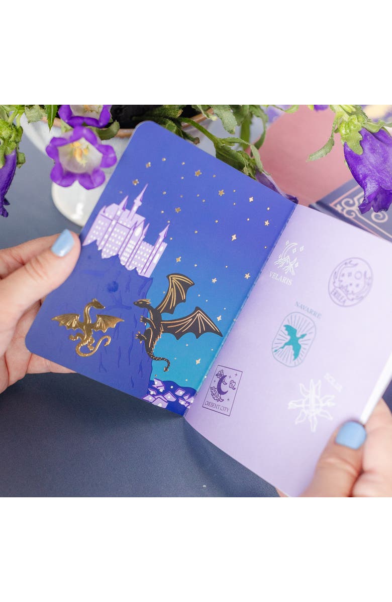 Jollity & Co. Fantasy Realm Passport Guidebook, Alternate, color, Assorted Pre-Pack