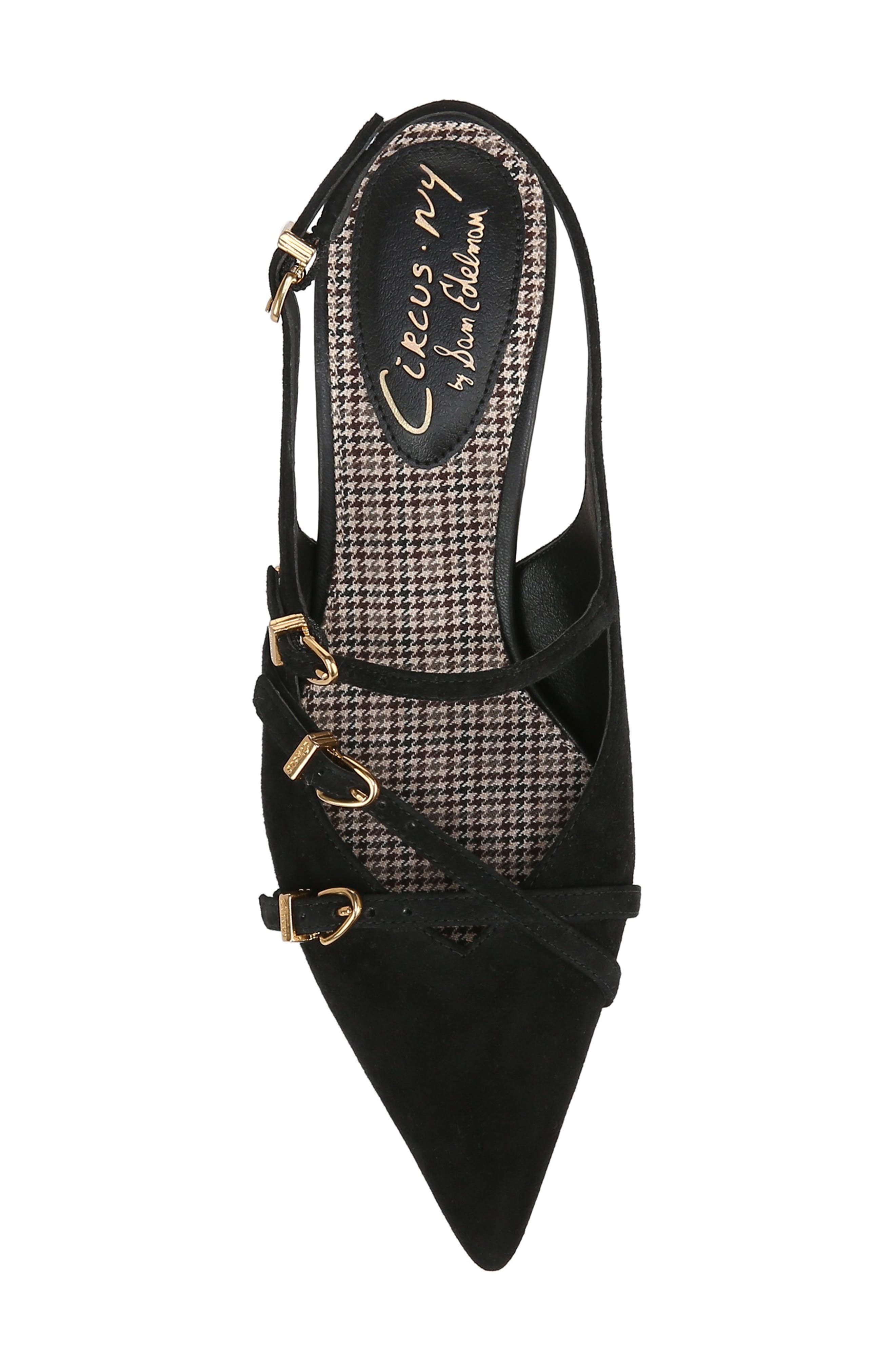 Circus NY by Sam Edelman Fraya Slingback Pointed Toe Pump, Alternate, color, 