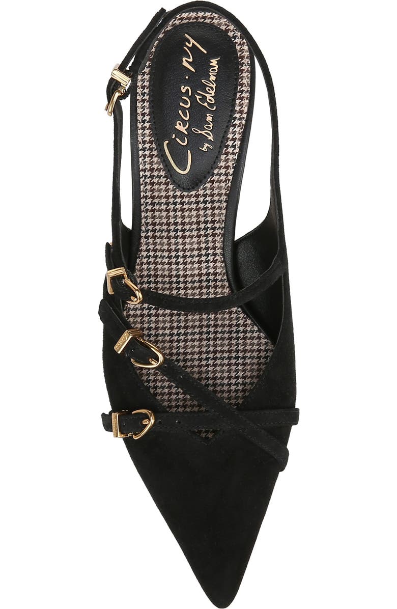 Circus NY by Sam Edelman Fraya Slingback Pointed Toe Pump, Alternate, color,