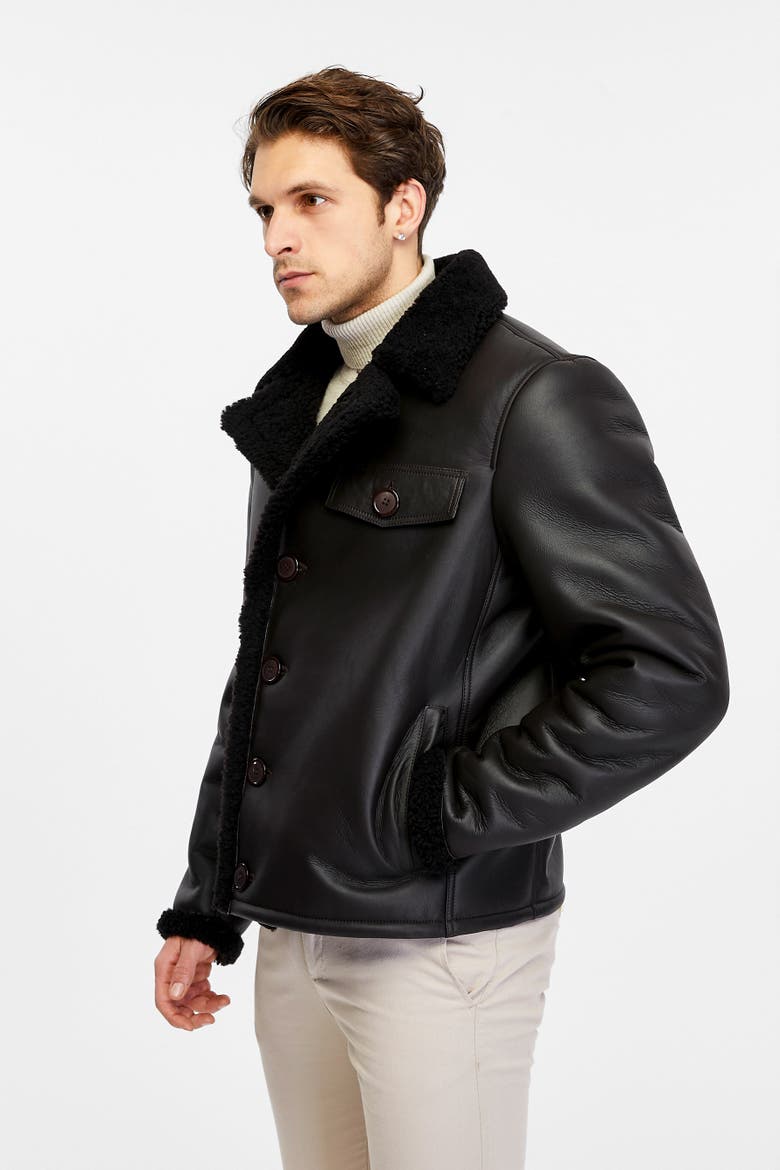 Edward Shearling Jacket, Alternate, color, Brown