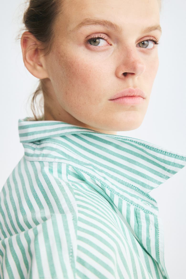 Oxford Shirt, Alternate, color, Green/white striped