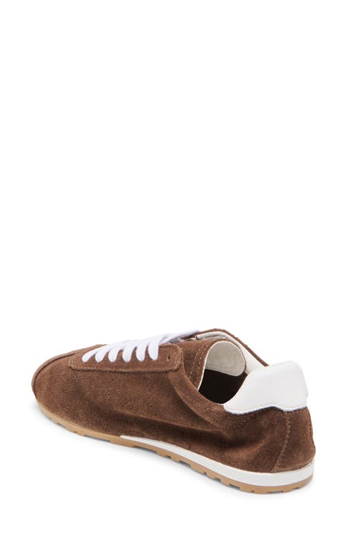 Dolce Vita Serina Sneakers Dk Brown Suede In Brown