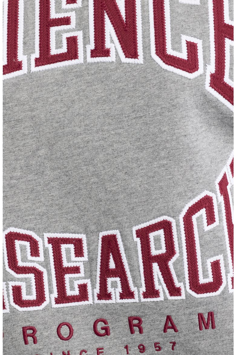 Wander Science & Research Graphic Organic Cotton Sweatshirt, Alternate, color, STONE HEATHER-PIERRE CHINE