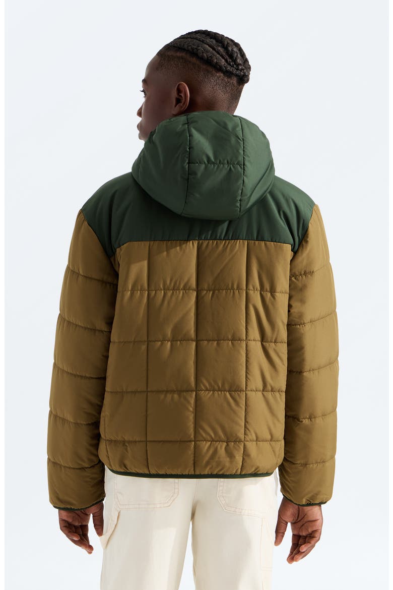 Kids' Shasta Water Repellent Reversible Hooded Jacket, Alternate, color, CARAWAY SEED/ BOTTLE GREEN