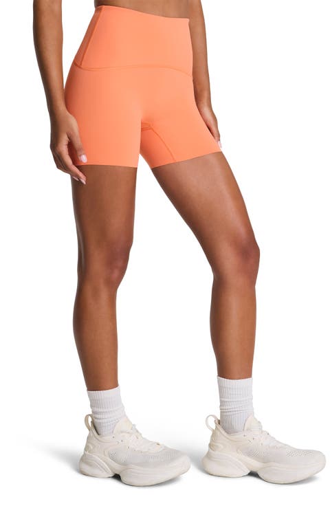Booty Boost Active 4-Inch Shorts