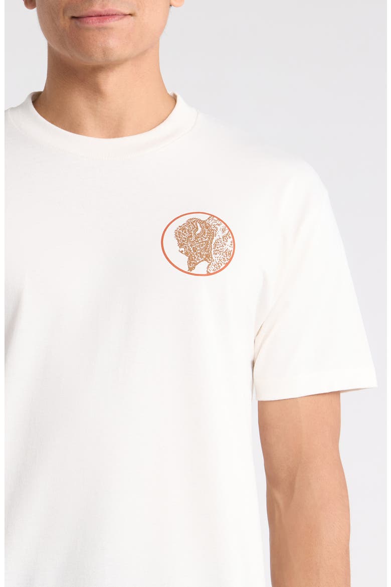 Bison Cotton Graphic T-Shirt, Alternate, color, VINTAGE WHITE
