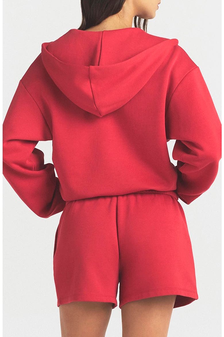 Cotton Blend Fleece Classic Zip-Up Hoodie, Alternate, color, WASHED RED