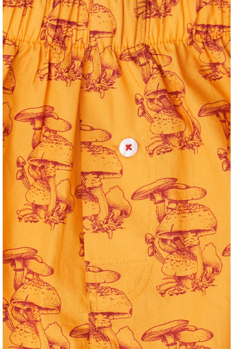 Organic Cotton Gorey Sketch Shroom Boxer Short, Alternate, color, BUTTERSCOTCH