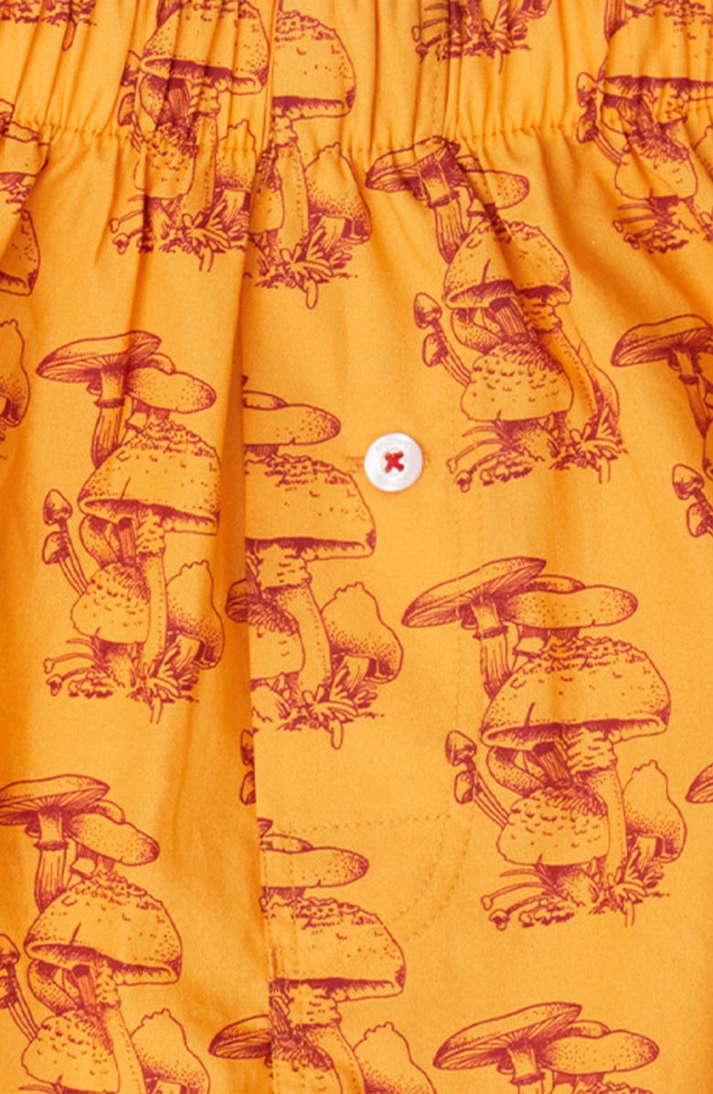 Druthers NYC Organic Cotton Gorey Sketch Shroom Boxer Short, Alternate, color, Butterscotch