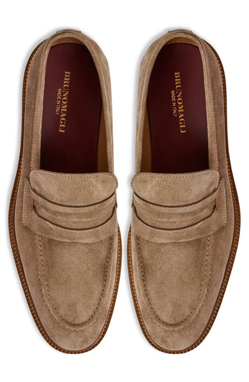 Bruno Magli Venezia Penny Loafer In Brown