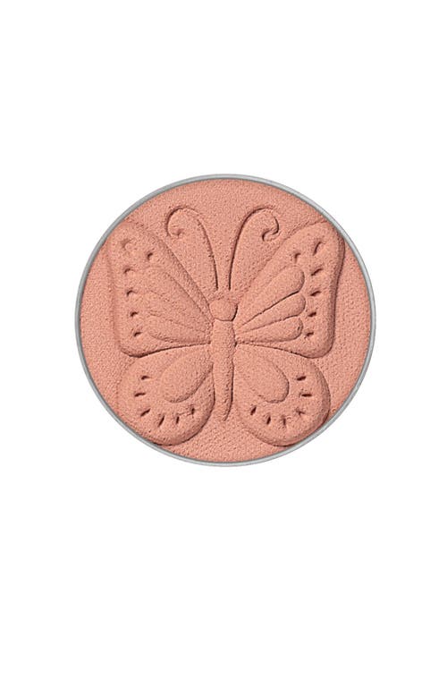Anna Sui Matte Eye Color