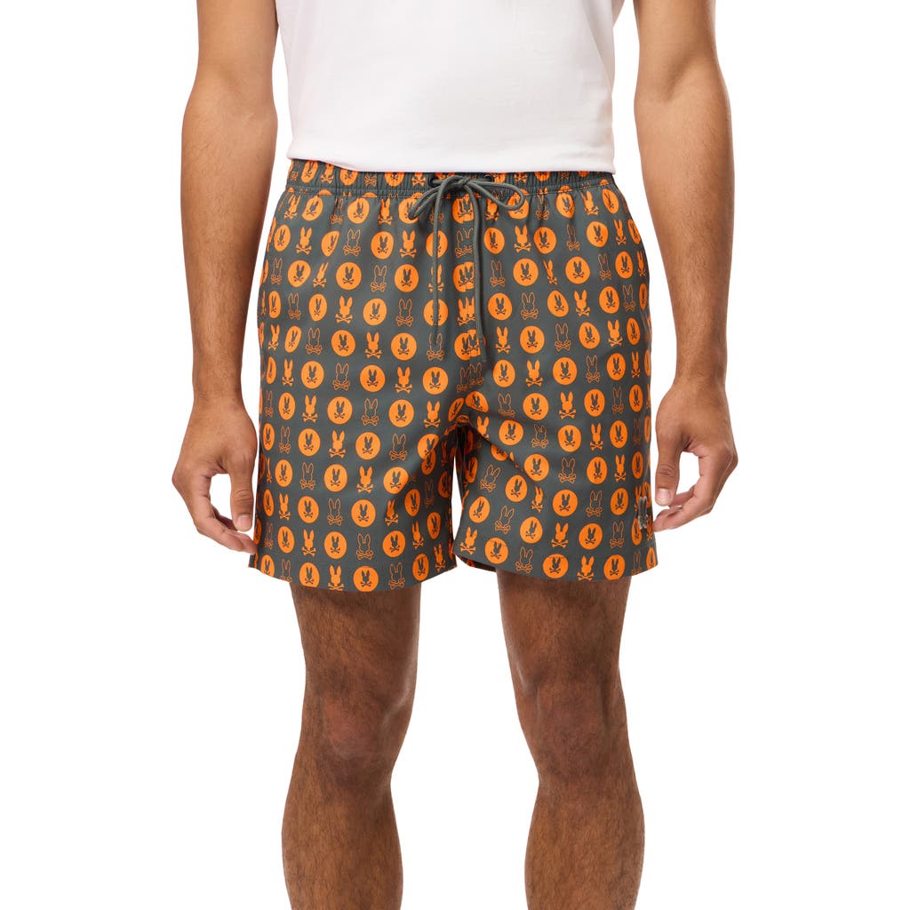Psycho Bunny Arnold Print Swim Trunks in Urban Chic  product