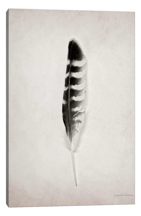 Feather IV by Debra Van Swearingen Canvas Wall Art