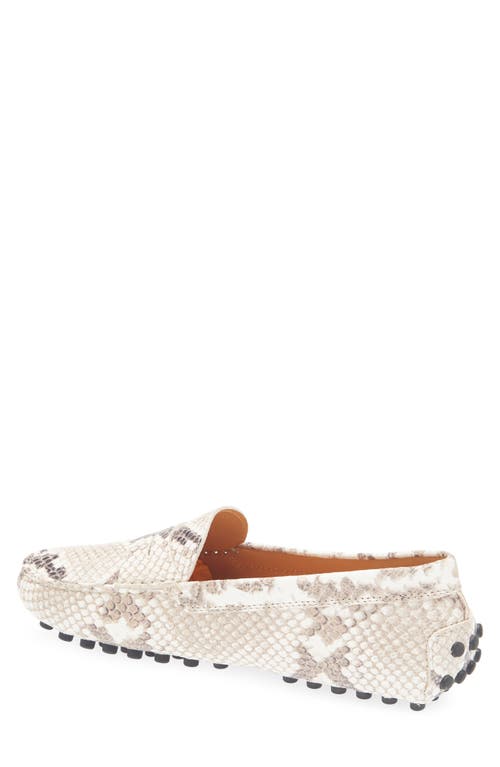 Tod's Snake-effect Leather Driving Loafers In Gray
