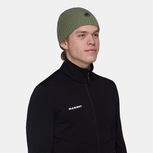 Mammut Sublime Beanie In Green