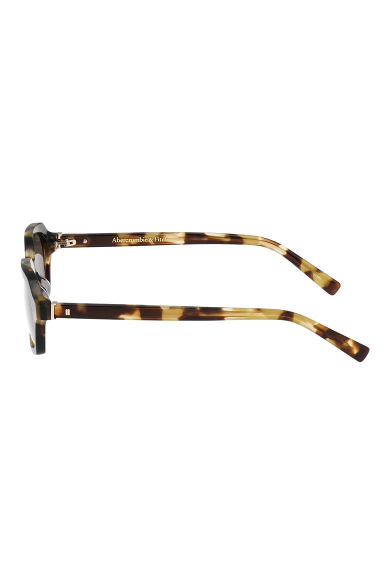 50mm Oval Sunglasses, Alternate, color, COLOURED HAVANA / GREEN