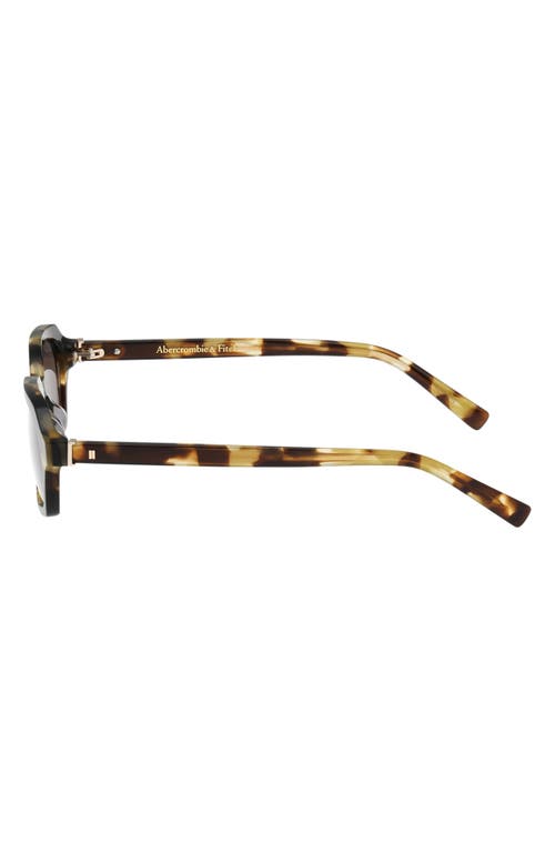Abercrombie & Fitch 50mm Oval Sunglasses In Brown