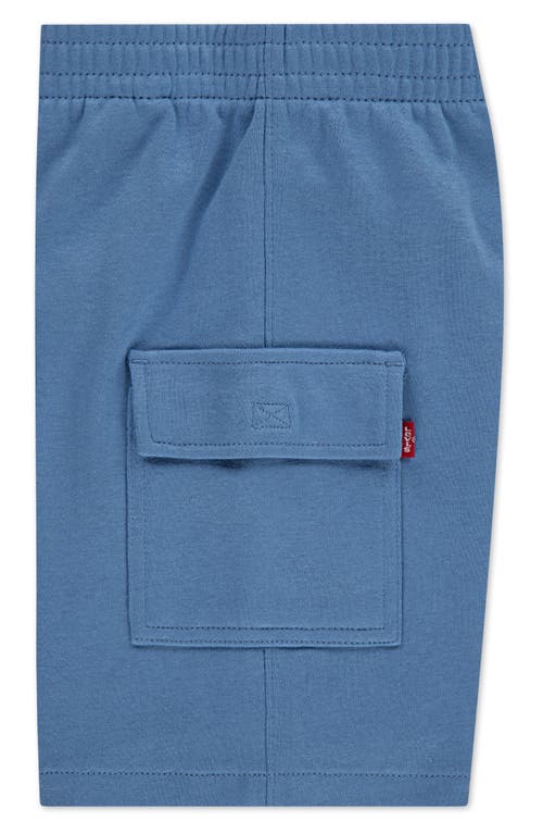 LEVI'S® LEVI'S® KIDS' MOUNTAIN GRAPHIC T-SHIRT & CARGO SHORTS SET