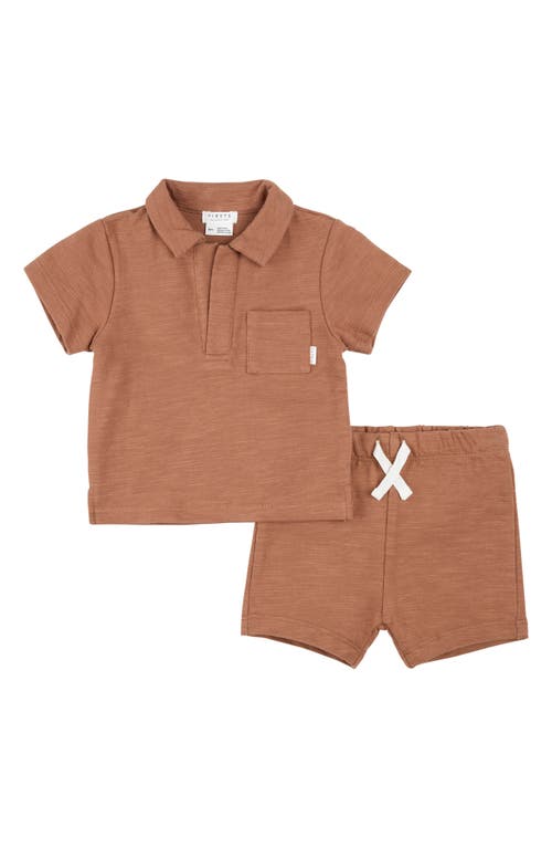 Petit Lem Babies'  Brick Beach Organic Cotton Polo & Shorts Set In Brown
