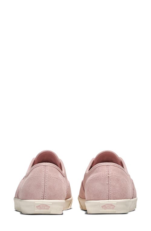 Vans Authentic Lowpro Sneaker In Pink