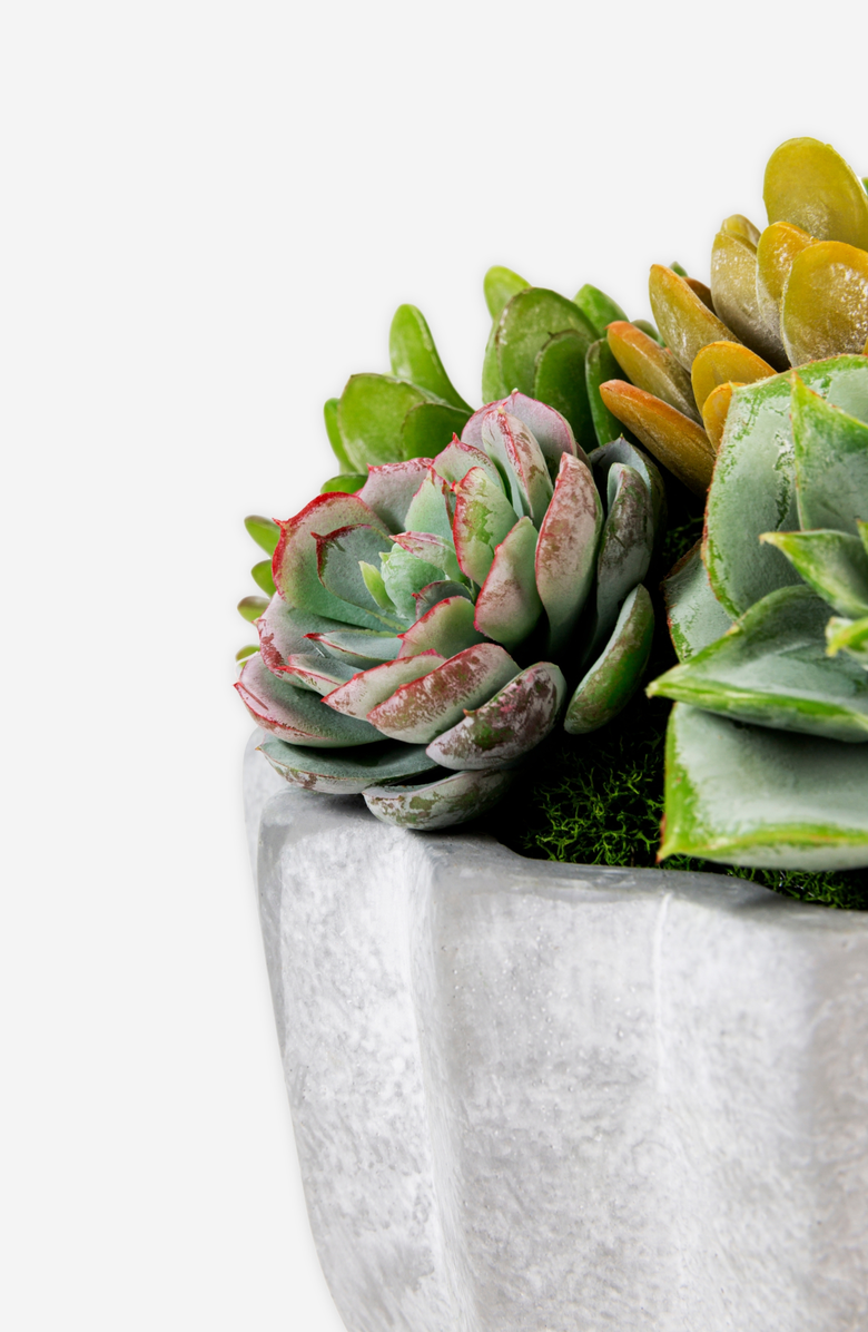 CocoBella Madison Pleated Ceramic Succulent Arrangement, Alternate, color, 