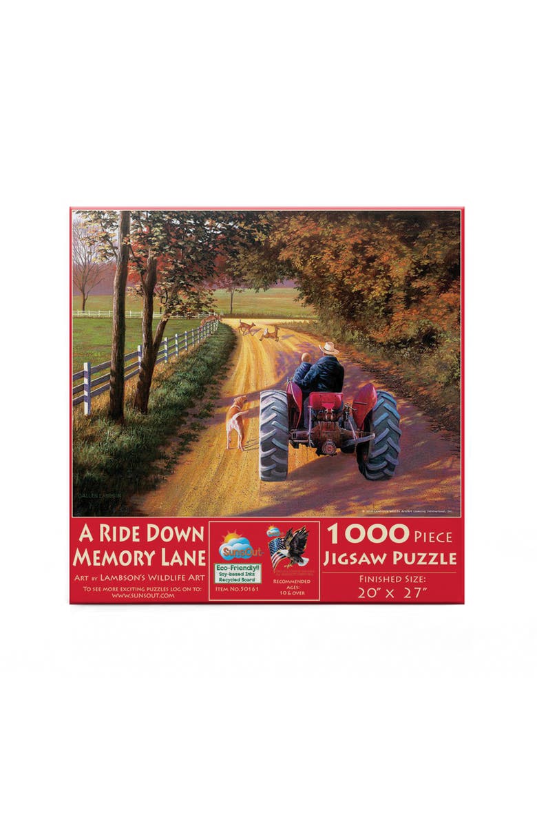 Sunsout A Ride Down Memory Lane 1000 piece Jigsaw Puzzle for Adults, Alternate, color, Multicolor