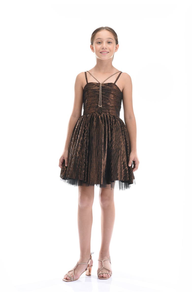 Tulleen Gianotta Dress, Main, color, Bronze