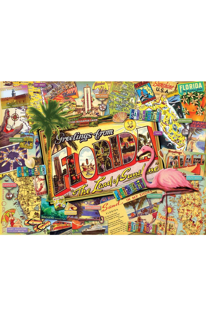 Sunsout Florida 1000 piece Jigsaw Puzzle for Adults, Main, color, Multicolor