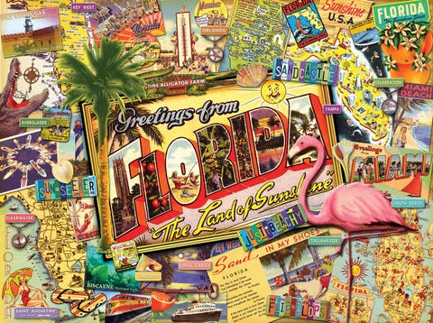 Florida 1000 piece Jigsaw Puzzle for Adults
