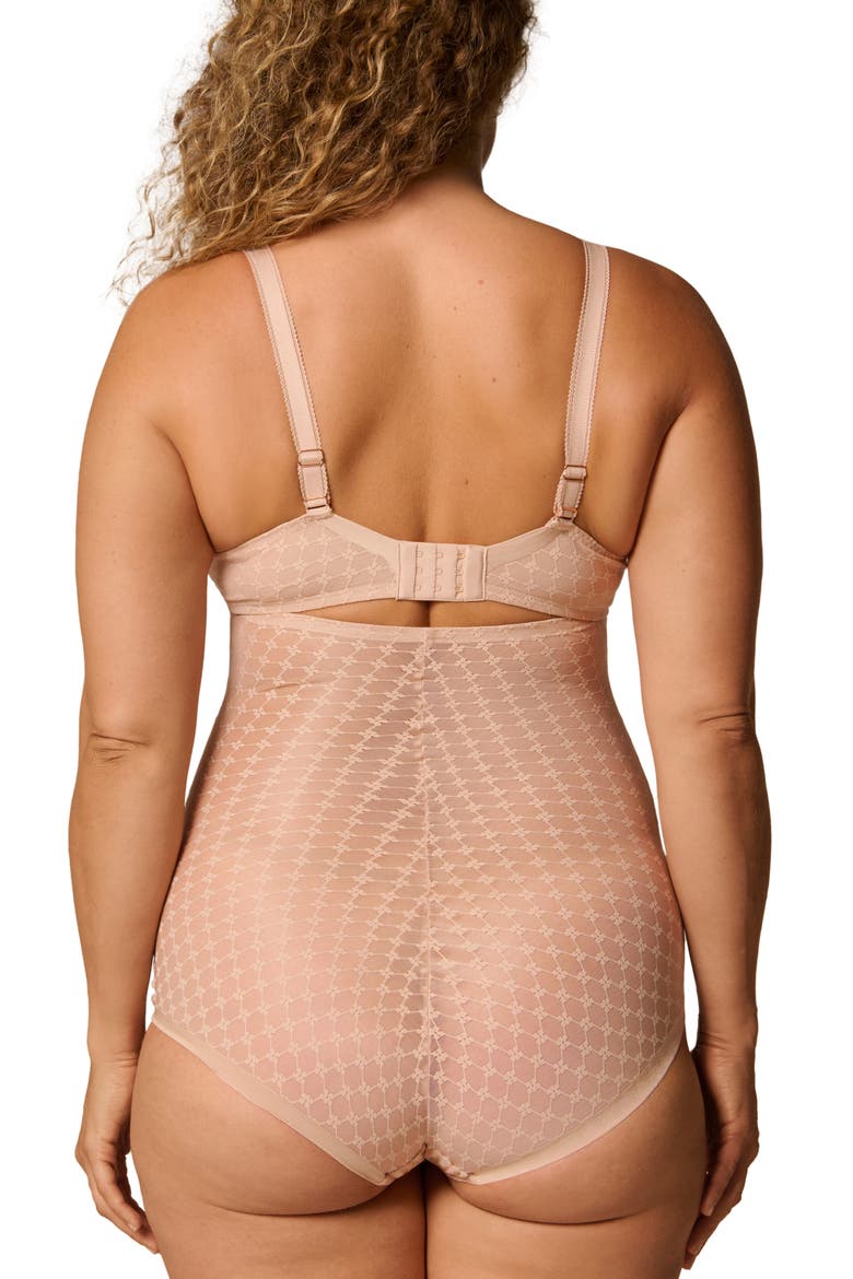 Plume Embroidered High Waist Shaping Briefs, Alternate, color, PEAU ROSE