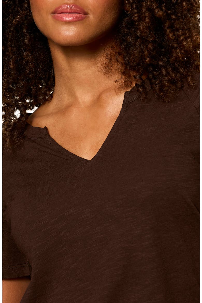 Notch V-Neck Cotton Blend T-Shirt, Alternate, color, RICH SOIL BROWN