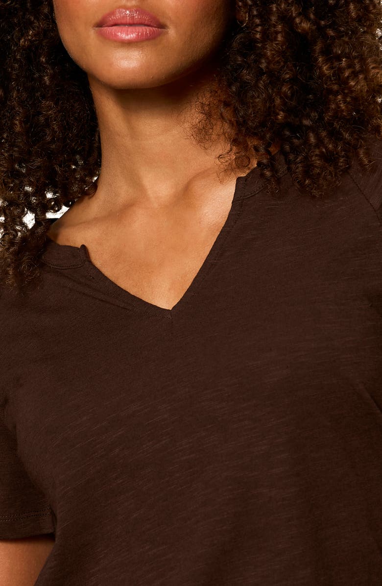 Sanctuary Notch V-Neck Cotton Blend T-Shirt, Alternate, color, Rich Soil Brown