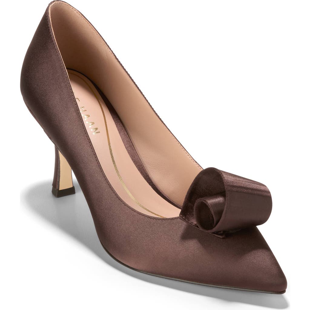 Cole Haan Florette Pointed Toe Pump In Brown