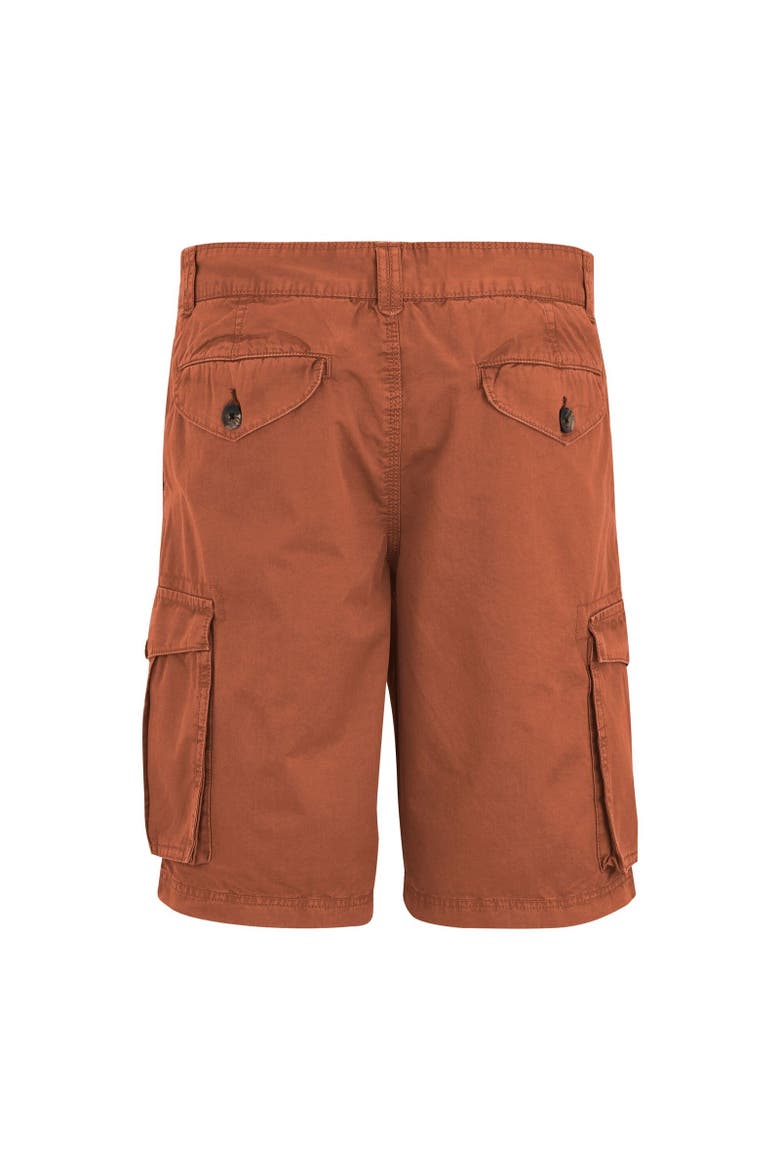 Shorebay II Cargo Shorts, Alternate, color, Brick