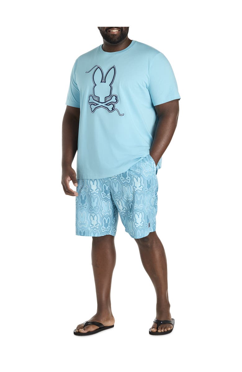 Psycho Bunny Big & Tall Cyrus Graphic Tee, Alternate, color, Milky Blue