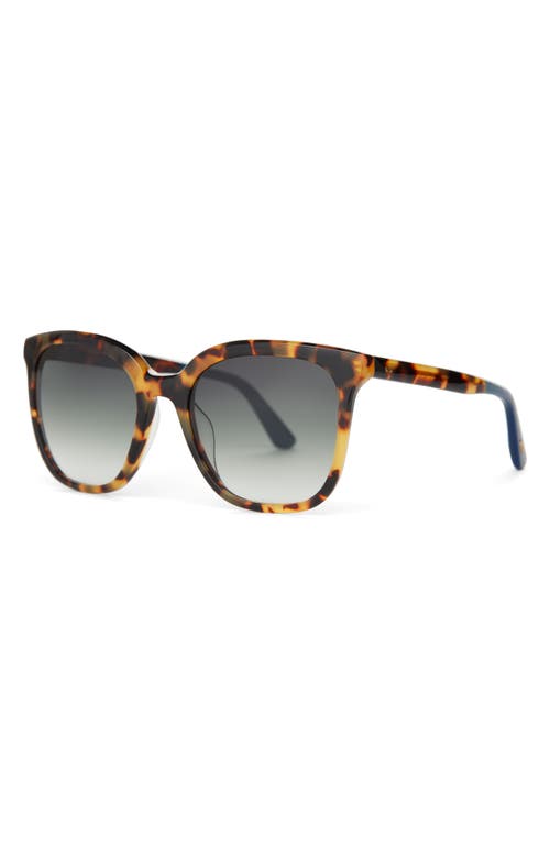 Toms Charmaine 54mm Square Sunglasses In Blonde Tortoise/deep Olive