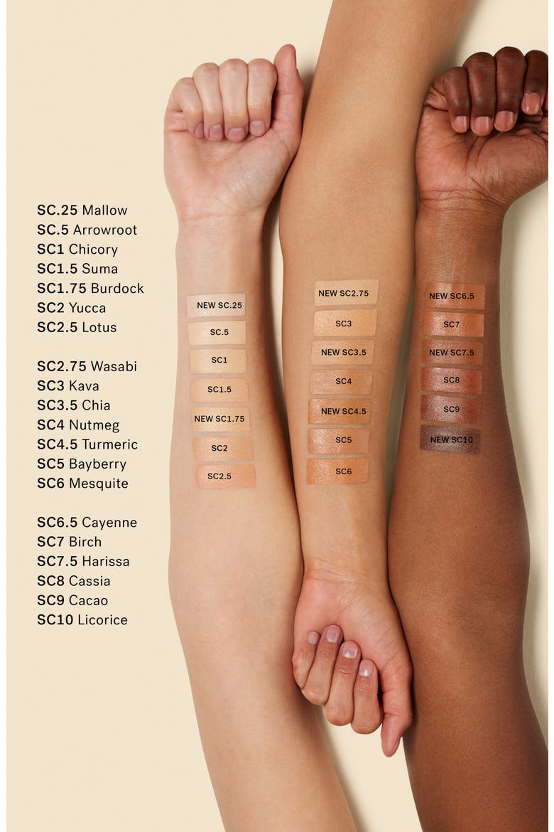 True Skin Serum Concealer, Alternate, color, SC6 - MESQUITEDNU